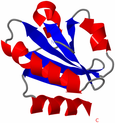 Image NMR Structure - model 1