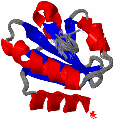 Image NMR Structure - all models