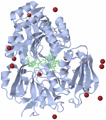 Image Biological Unit 1