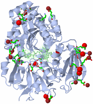 Image Biol. Unit 1 - sites