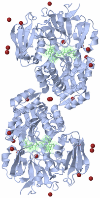 Image Biological Unit 2