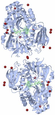 Image Biological Unit 3