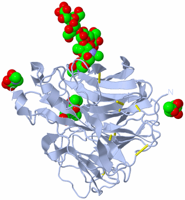 Image Biological Unit 1