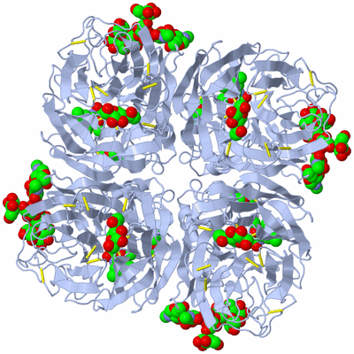 Image Biological Unit 2