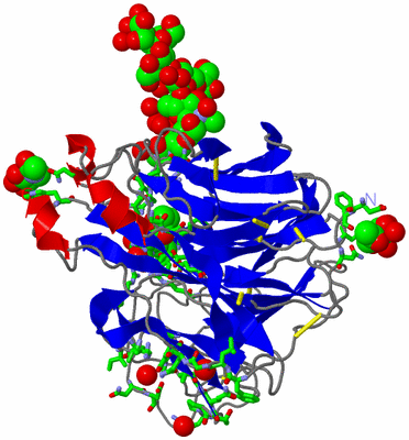 Image Asym. Unit - sites