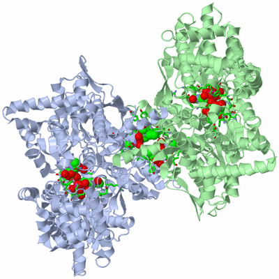 Image Asym./Biol. Unit - sites