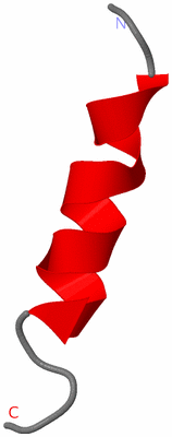 Image NMR Structure - model 1