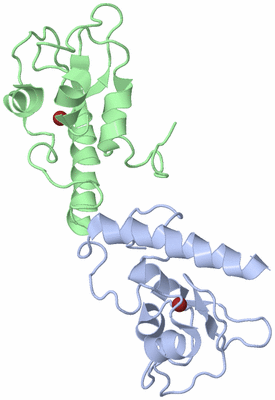 Image NMR Structure - model 1