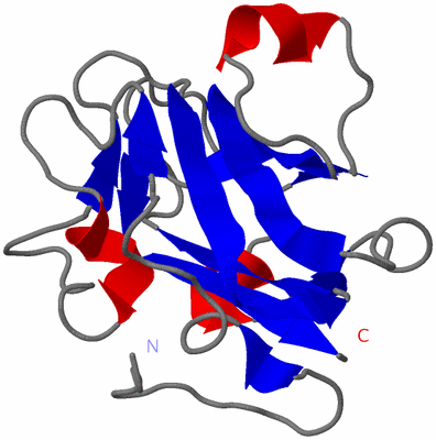 Image NMR Structure - model 1