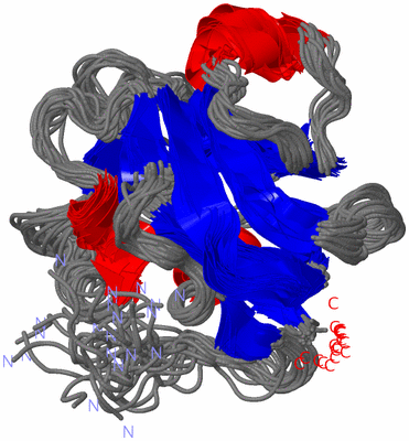 Image NMR Structure - all models