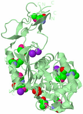 Image Biological Unit 2