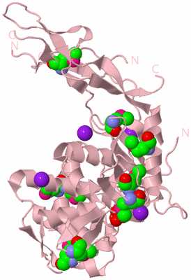 Image Biological Unit 3