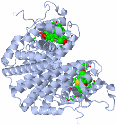 Image Biol. Unit 1 - sites