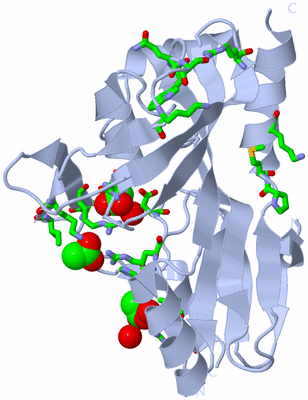 Image Biol. Unit 1 - sites