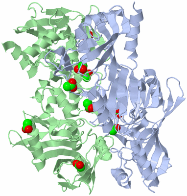 Image Biological Unit 3