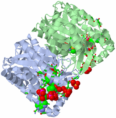 Image Biol. Unit 1 - sites