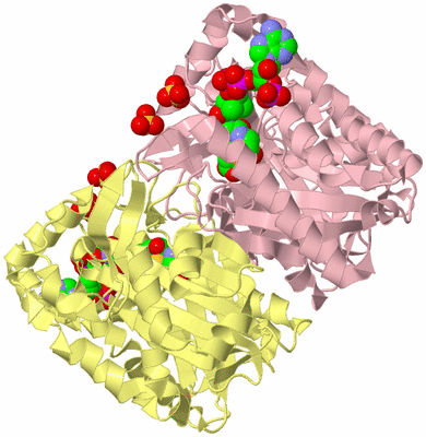 Image Biological Unit 2