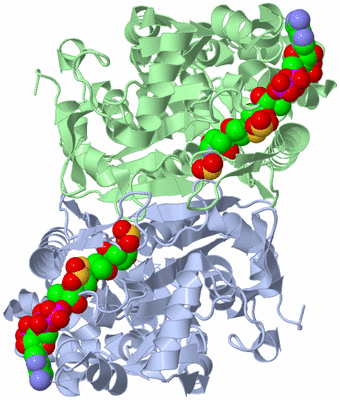 Image Biological Unit 1