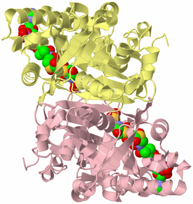 Image Biological Unit 2