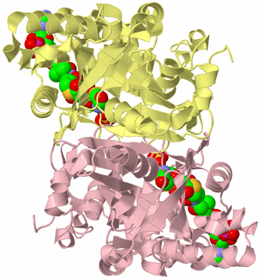 Image Biological Unit 2