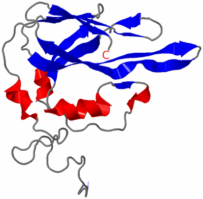 Image NMR Structure - model 1