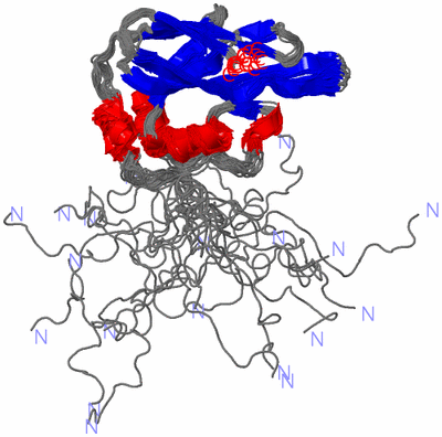 Image NMR Structure - all models