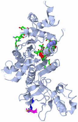 Image Biol. Unit 1 - sites