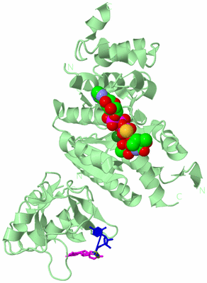 Image Biological Unit 2