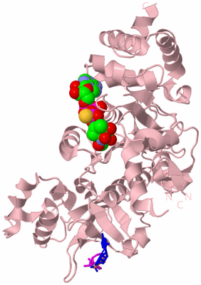 Image Biological Unit 3