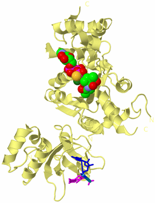 Image Biological Unit 4