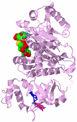 Image Biological Unit 5