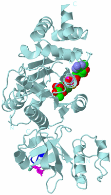 Image Biological Unit 6