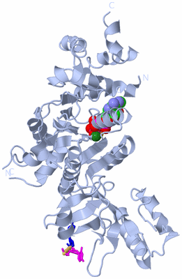 Image Biological Unit 1