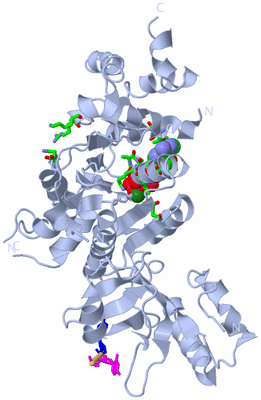 Image Biol. Unit 1 - sites