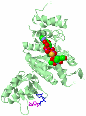 Image Biological Unit 2