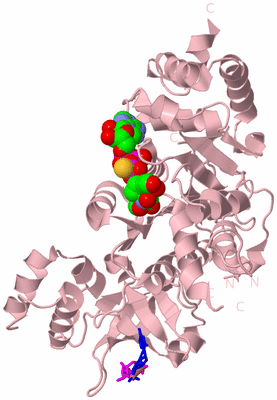 Image Biological Unit 3