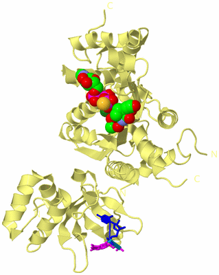 Image Biological Unit 4