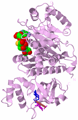 Image Biological Unit 5