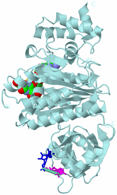 Image Biological Unit 6