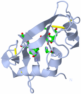 Image Biol. Unit 1 - sites