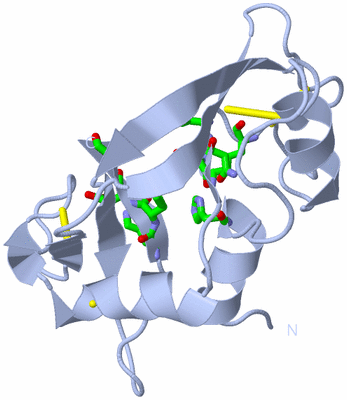 Image Biol. Unit 1 - sites