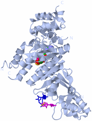 Image Biological Unit 1