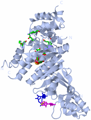 Image Biol. Unit 1 - sites