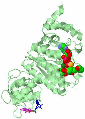 Image Biological Unit 2