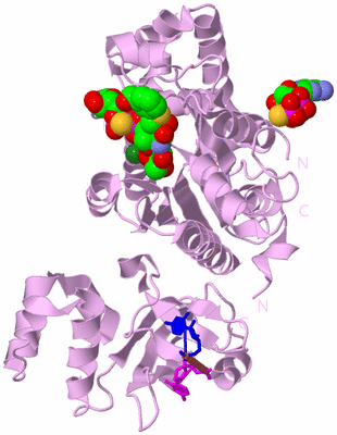 Image Biological Unit 5