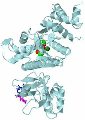 Image Biological Unit 6