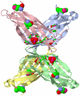 Image Asym./Biol. Unit - sites