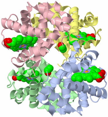 Image Asym./Biol. Unit