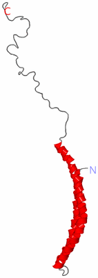 Image NMR Structure - model 1