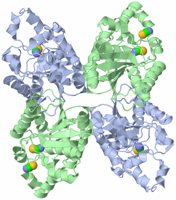 Image Biological Unit 1